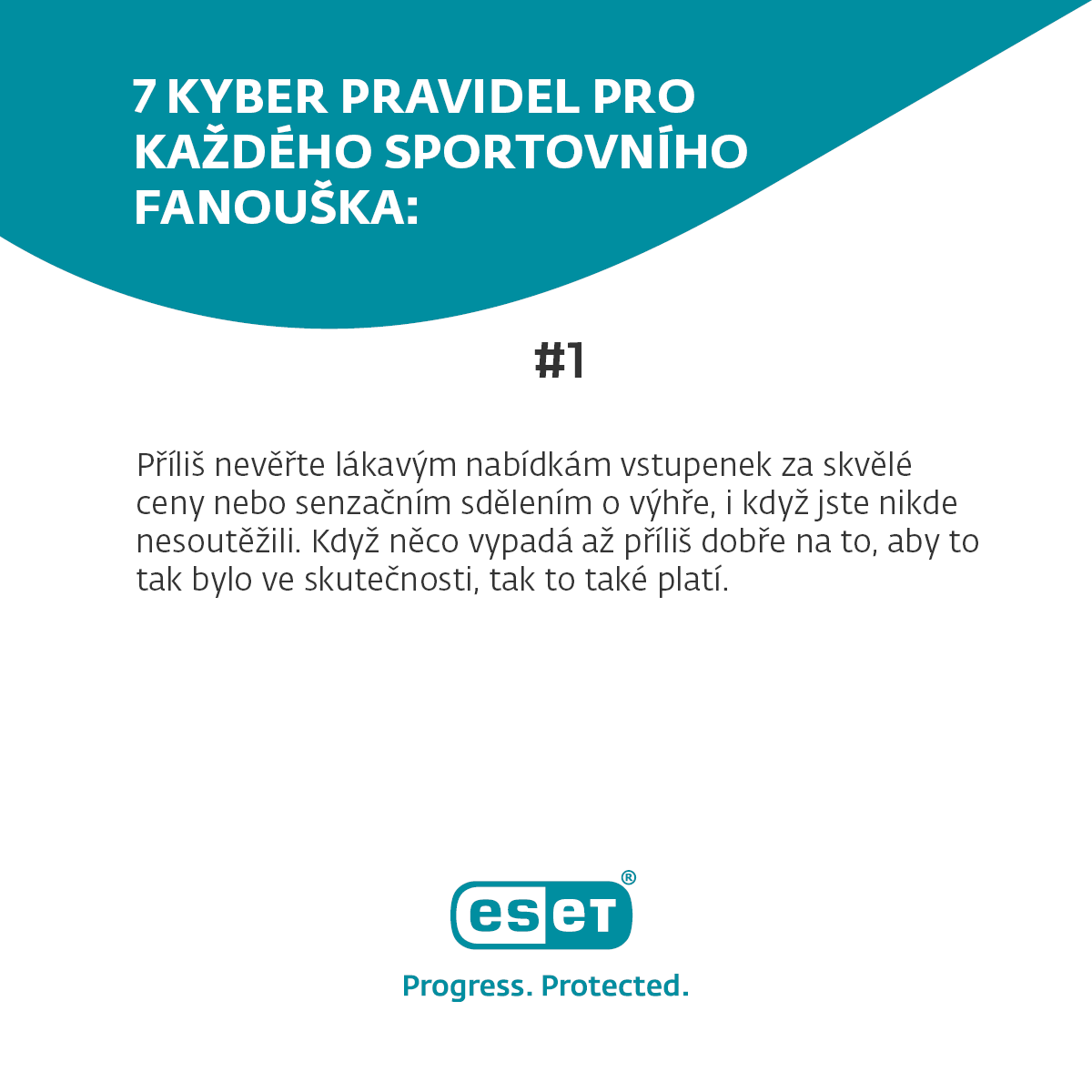 kyberzásady pro sportovní fanoušky